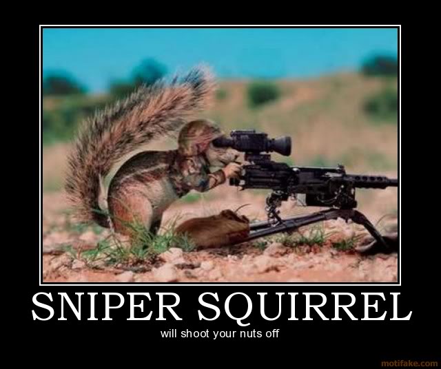 sniper-squirrel-sniper-squirrel-dem.jpg