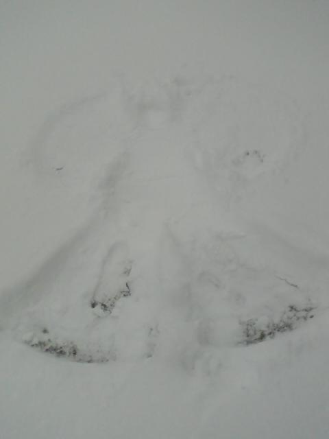 snow angel.jpg