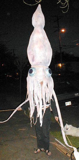 Squid.jpg