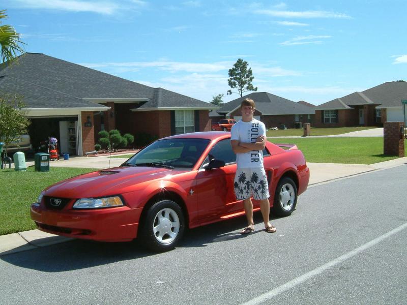 stang4.jpg