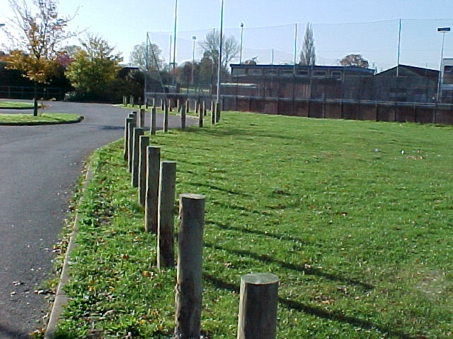 timber bollards.jpg