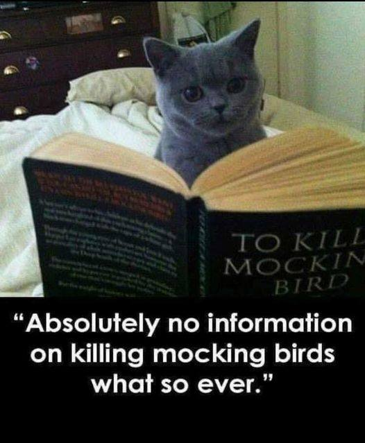 TO KILL A MOCKINGBIRD.png