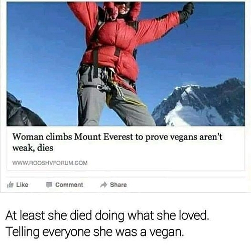 VEGAN DIES.jpg