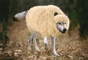 Wolf-in-Sheep-300x204.jpg