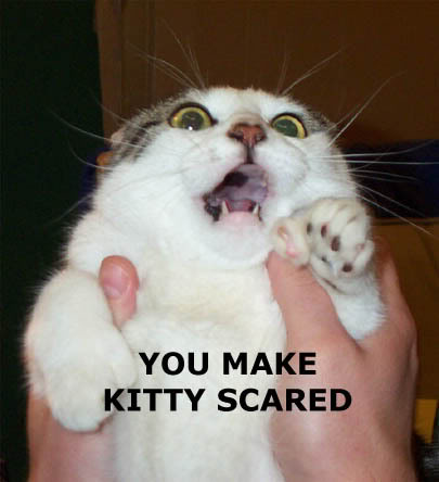 You_Scare_Kitty.jpg