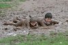 et-muddy-muddy 048.jpg