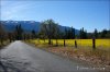 Dsc00284_quartz_valley_800.jpg