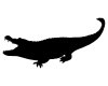 bigstock_Black_Alligator_83371482.jpg