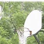 Post-12-14459-animatedballhoop