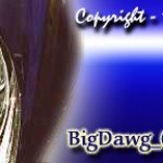 Post-11-10139-bigdawg