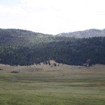 Post-6-45051-valles Caldera