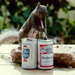 Post-12-18153-post 12 01989 Beer Squirel