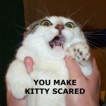 Post-12-95453-post 12 49541 Scaredkitty