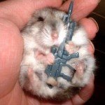 Media 'Post-12-71416-hamster With Gun' in category 'Forum Pics'