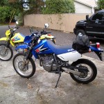 Post-6-36224-small Pic Of Dual Sports