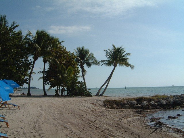 Post-12-00651-smathers Beach