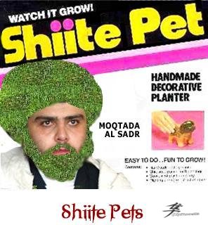 Post-12-01377-shiite