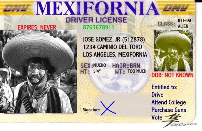 Post-12-08240-mexican License 2