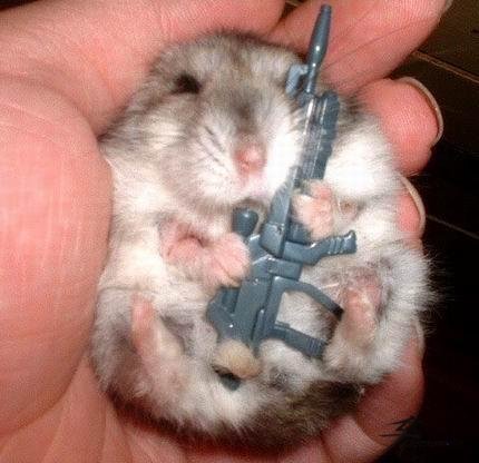 Post-12-71416-hamster With Gun