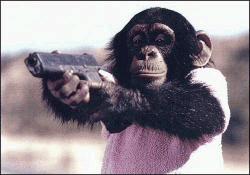 Post-12-84667-chimpanzee Glock