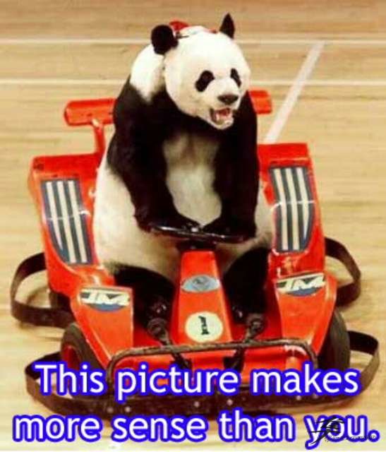 Post-45-86003-post 12 48295 Panda 20makes 20more 20sense