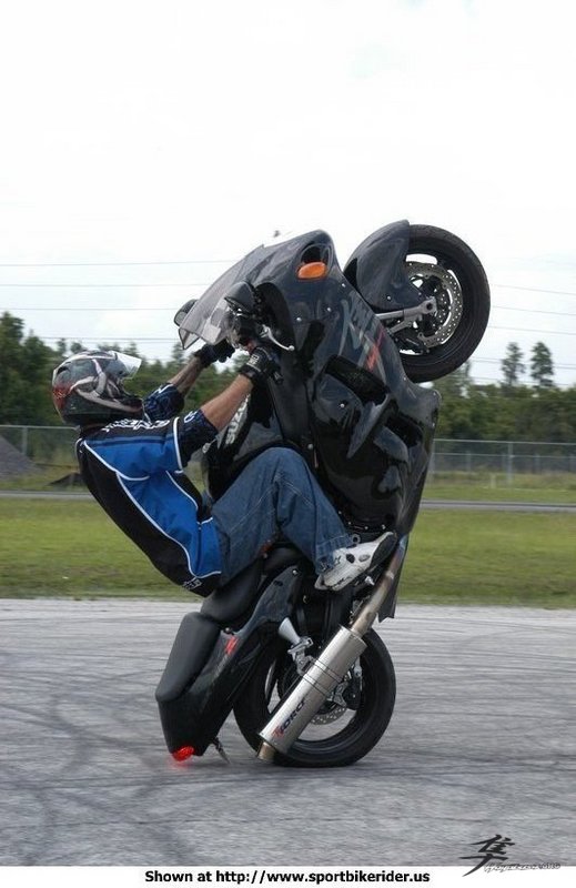 Post-6-55918-busa Wheelie1